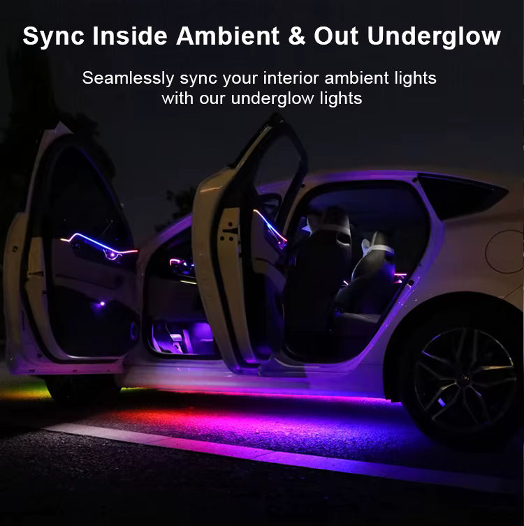 Pro Series Undercar Kit and Pro Series Ambient Interior Light Kit Universal Kit